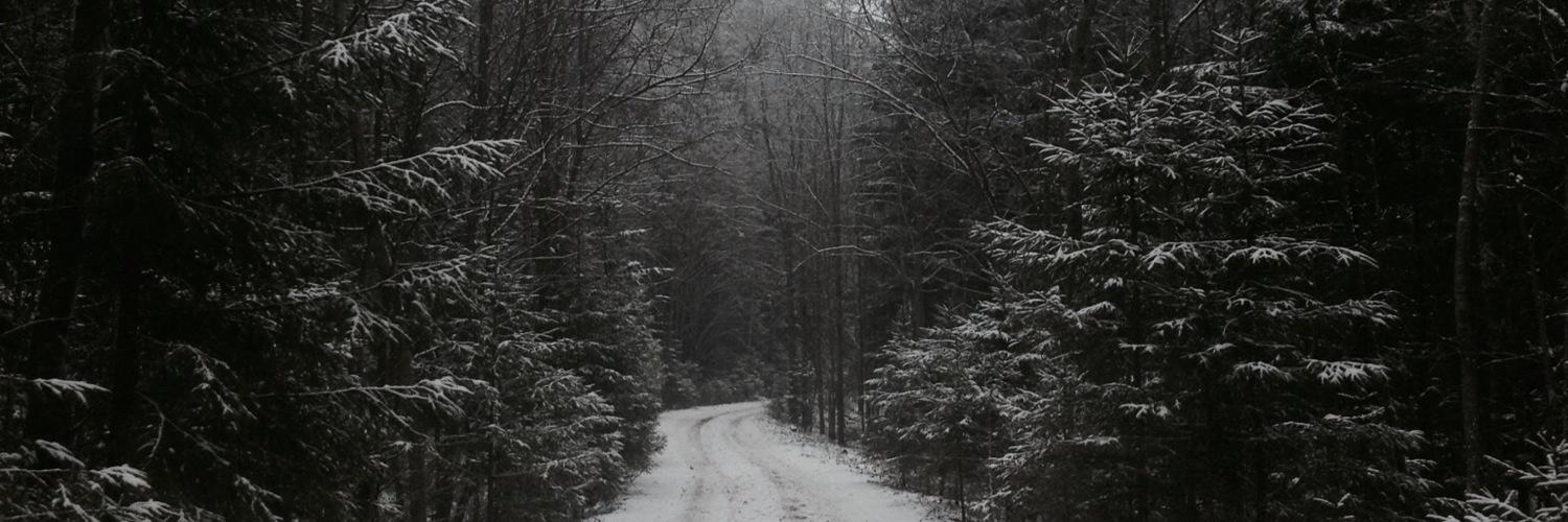 hopelessnessS's profile banner image