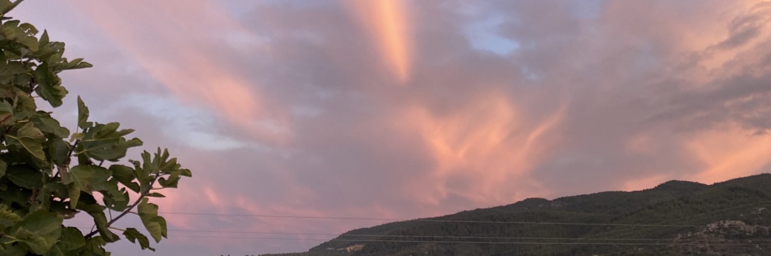 antropologhanim's profile banner image