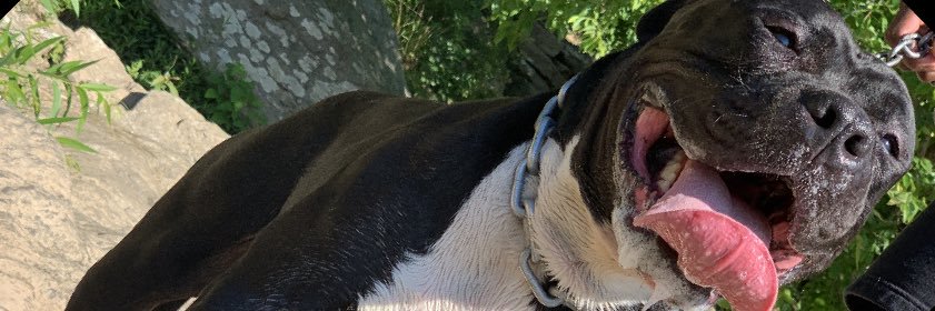 ayeetez's profile banner image
