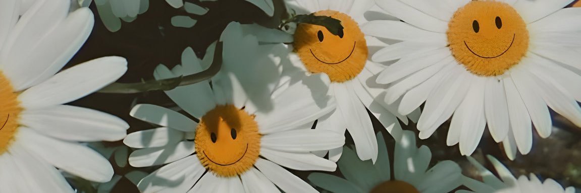 Narm_pt's profile banner image