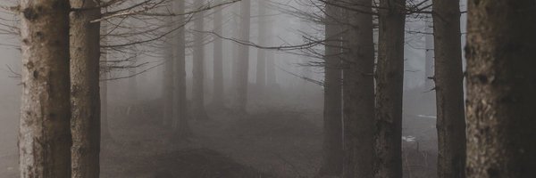 dalomika Profile Banner