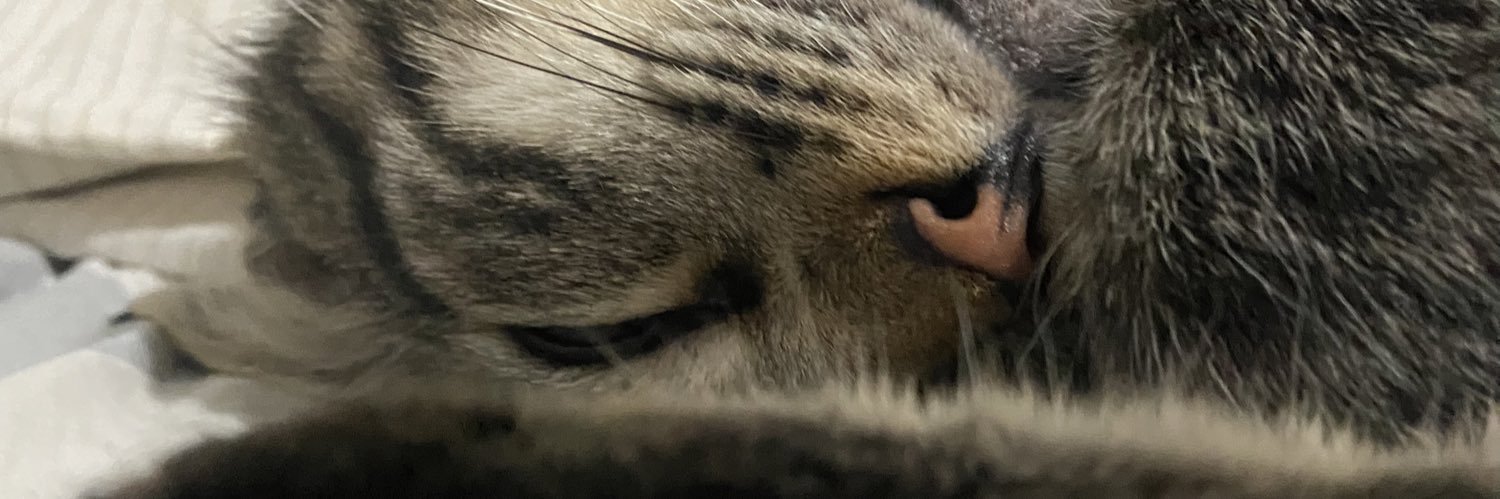 maviosamaria's profile banner image