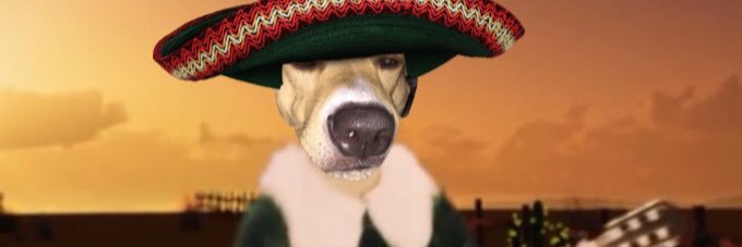 Texan_Pup's profile banner image