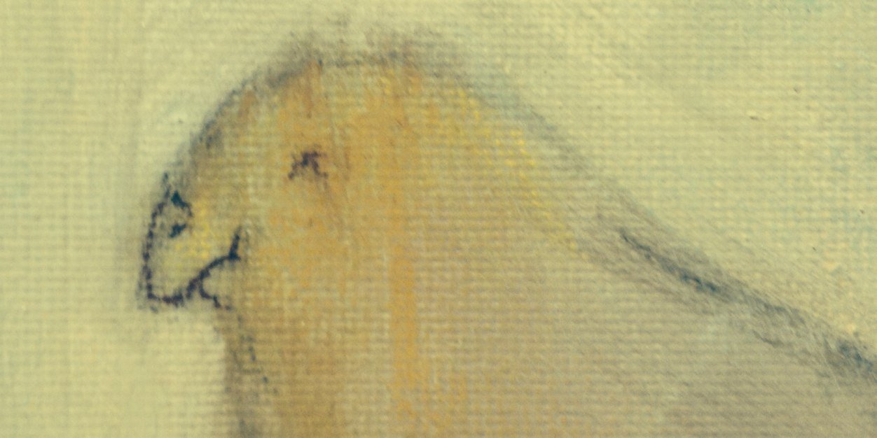 TorOsuH's profile banner image