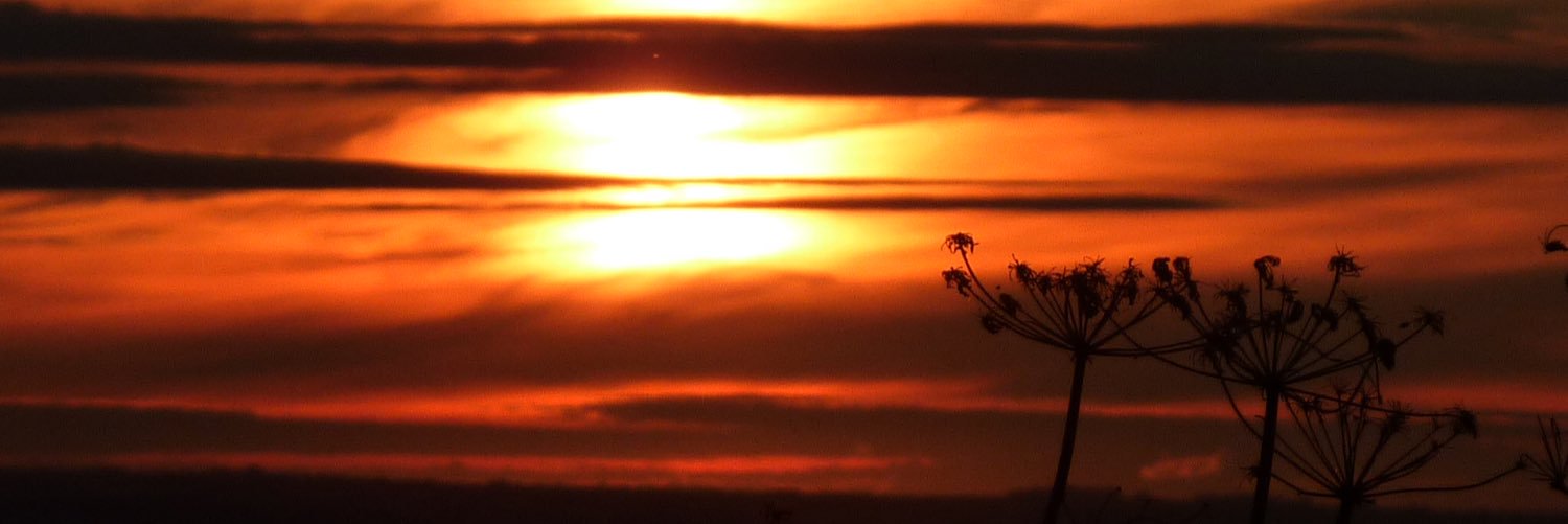 Damage Undone banner