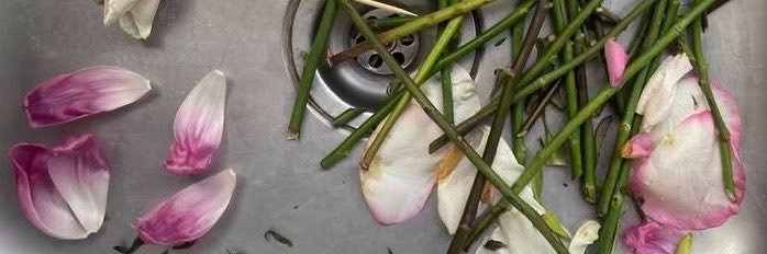 ultraxviolenc's profile banner image