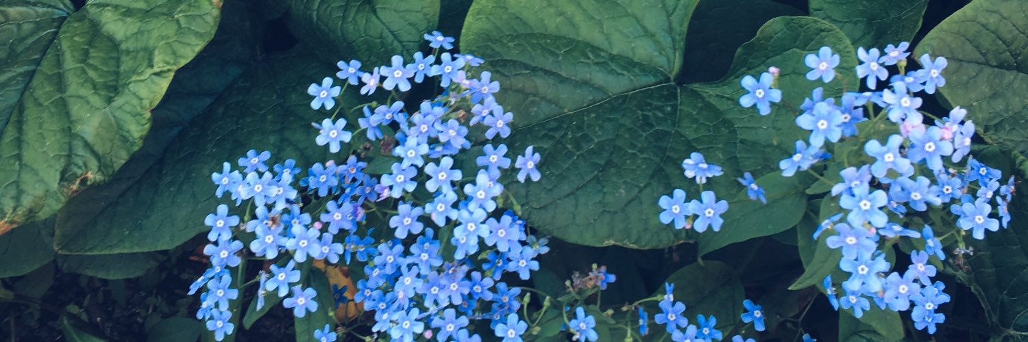 paramoshcova's profile banner image