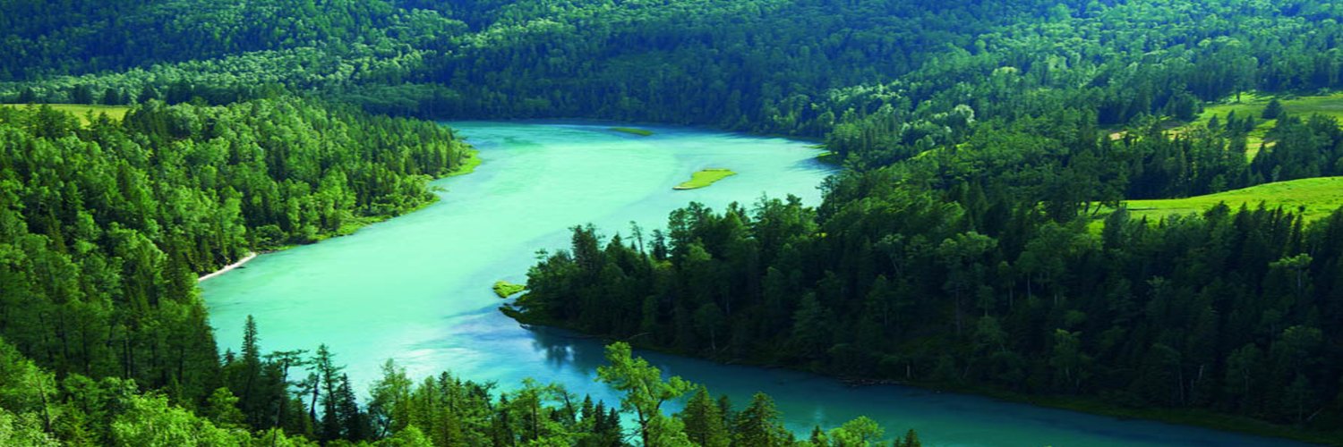 a| ETHGas ⛽ banner