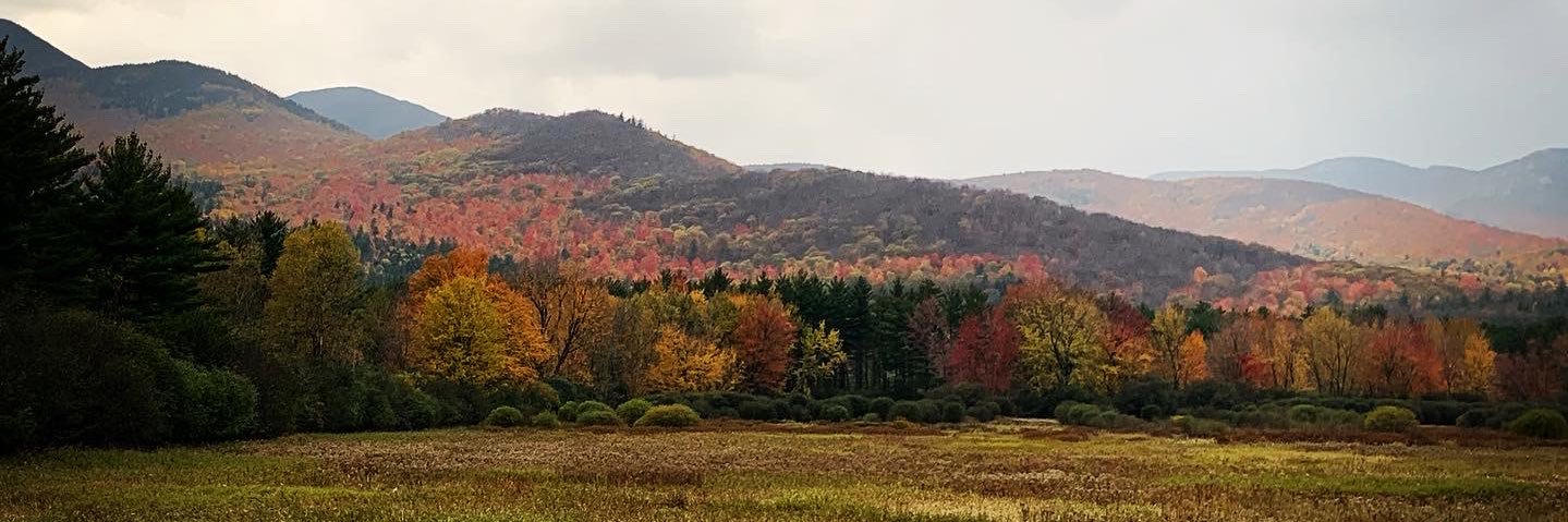 Claudia Braymer banner