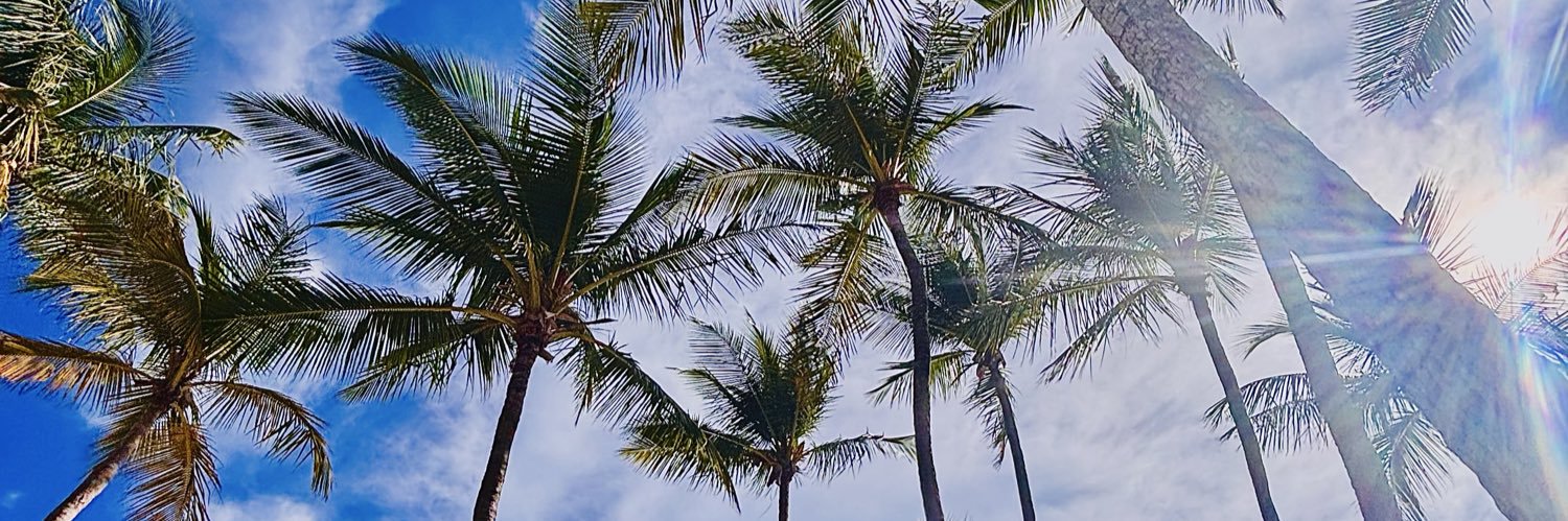 EvanXVisuals's profile banner image