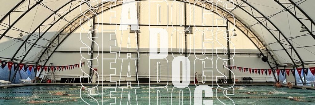 MBA Swim & Dive banner
