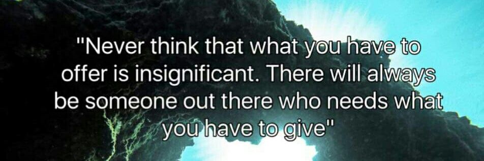 Kim Sheldrick banner