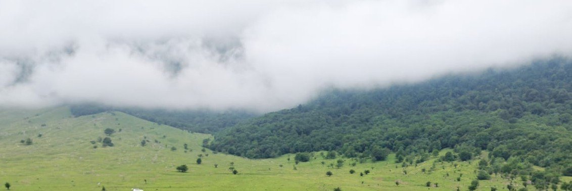 weamadel's profile banner image