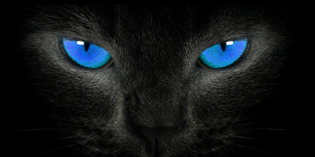 slhoyle1's profile banner image