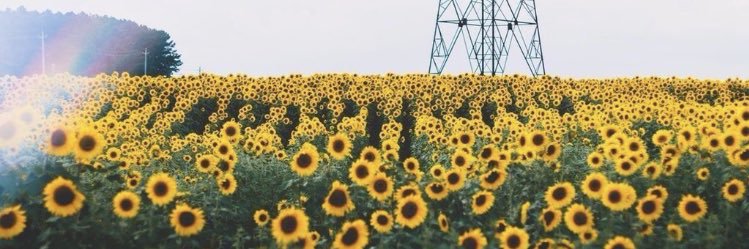 Simplyy_Dom's profile banner image