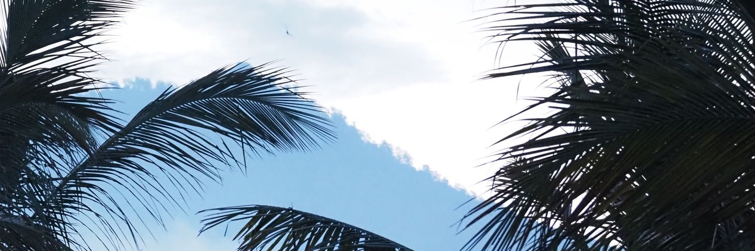 VisesaJ's profile banner image