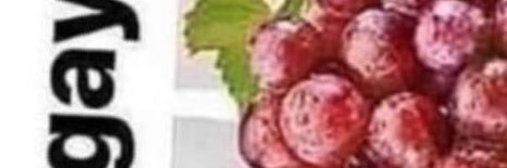 pimpgud's profile banner image