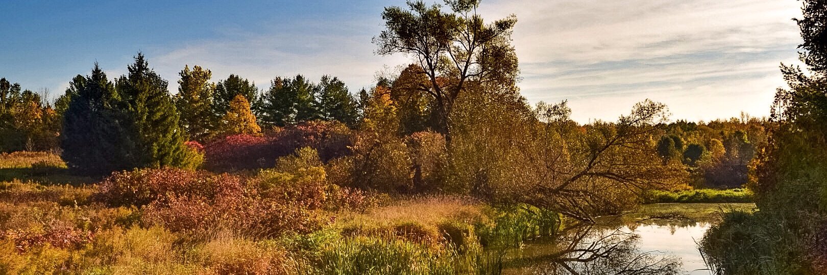 friendscanlon's profile banner image