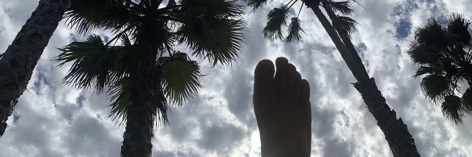SecretoBurrito's profile banner image