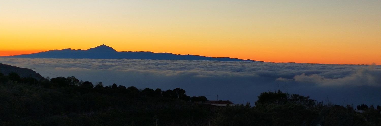 Jose Maria Ferrer banner