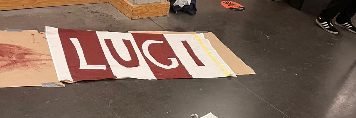 LUGI Handboll banner