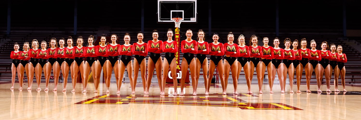 FM Acro Team banner