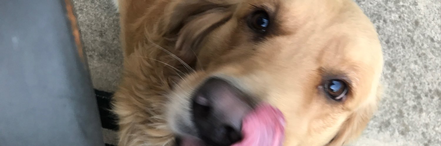 Collin Baumgartner banner