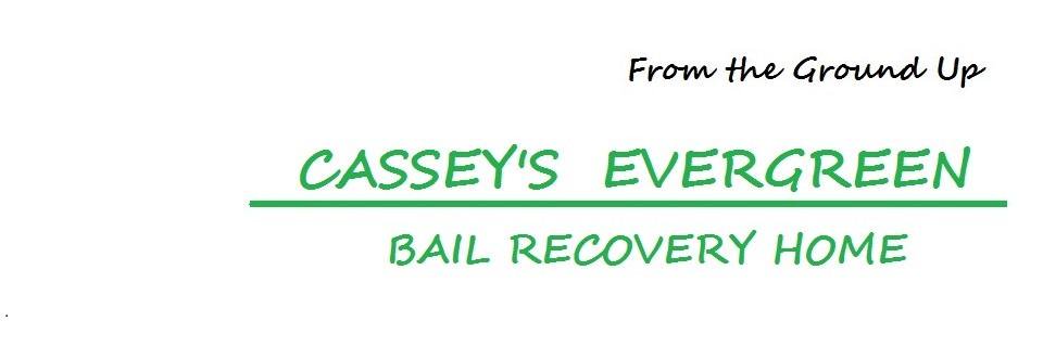 CasseysRecovery's profile banner image
