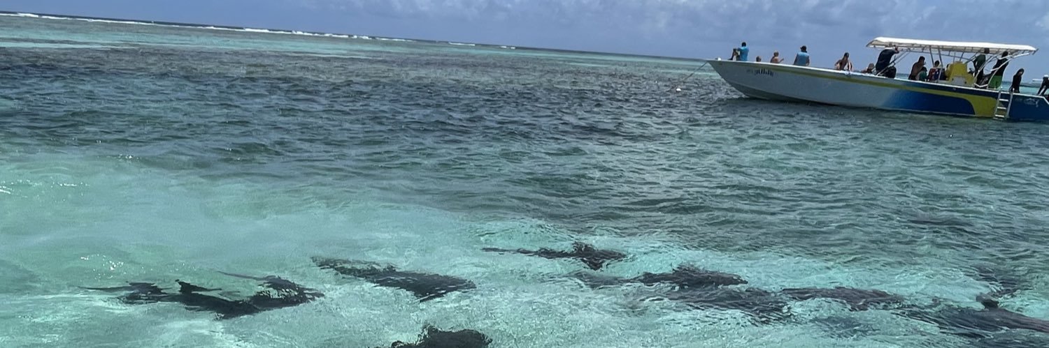 anne berardinelli 🇺🇦 banner