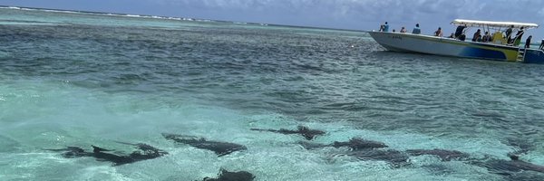 NMSMrsB Profile Banner