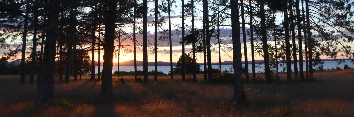 BouzhaCookman's profile banner image