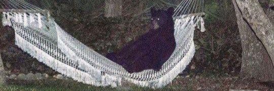 davut kokteyliniz banner