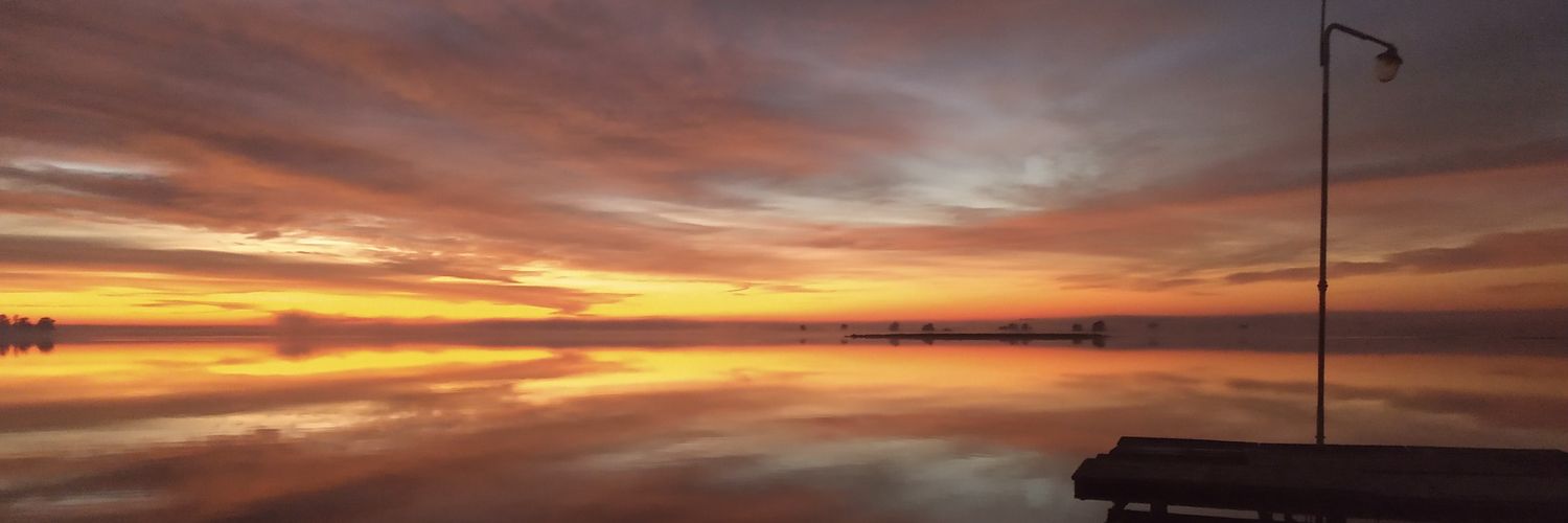 FlorFalcinelli's profile banner image