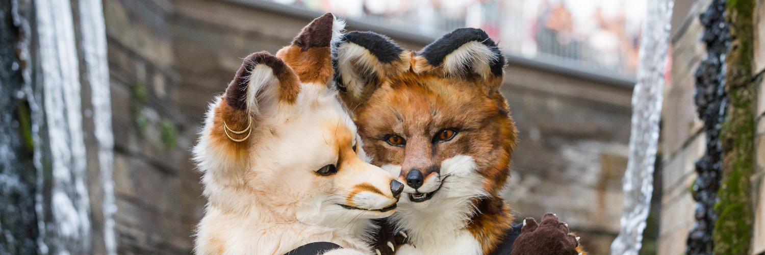 shadowfox_de's profile banner image