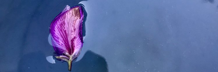 ___Mordecai's profile banner image