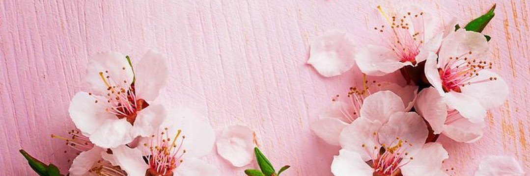 MsGeeBee13's profile banner image
