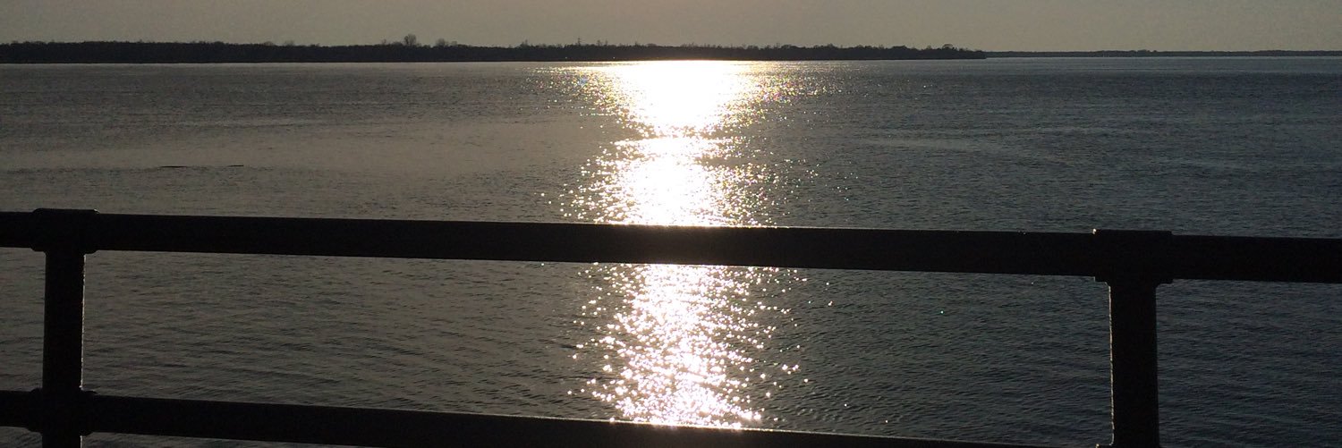 cherylladuca's profile banner image