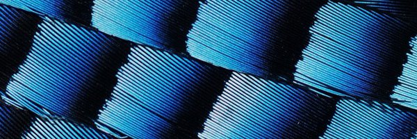 MiguelChamon Profile Banner