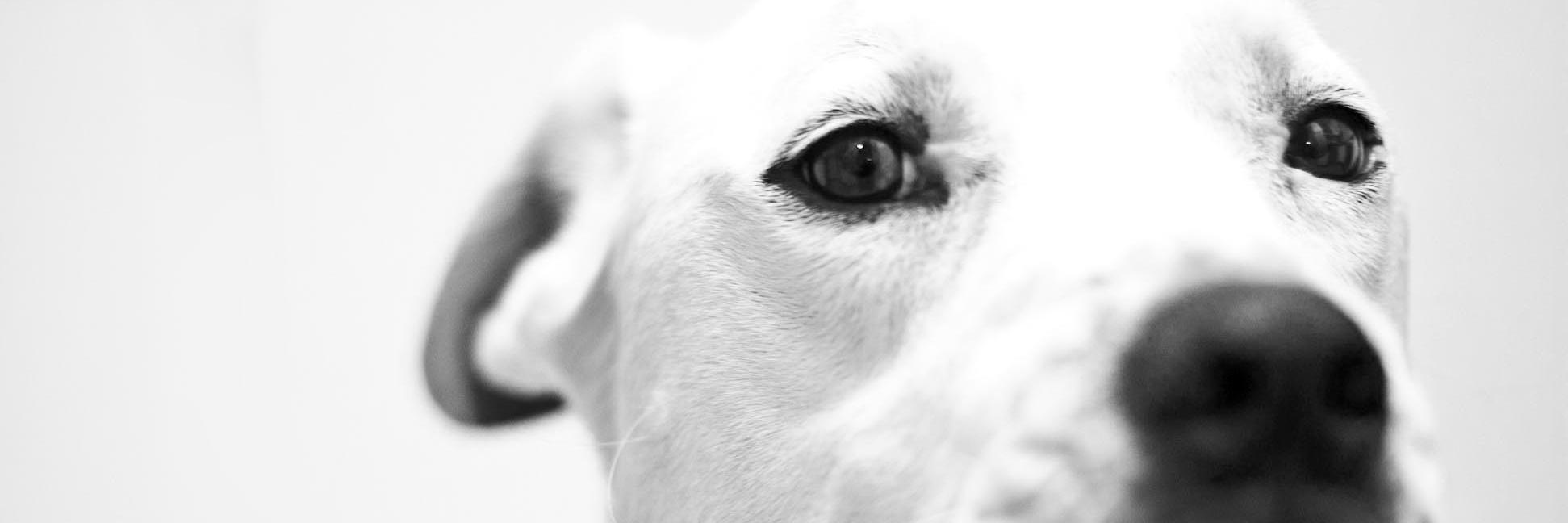 fernandotremba's profile banner image