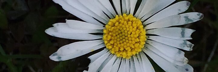 layinsss's profile banner image