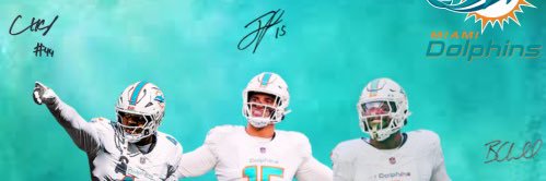 diehardfinfan's profile banner image