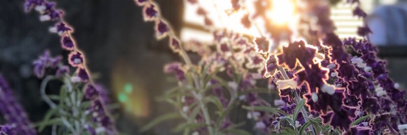 leenabarakat's profile banner image
