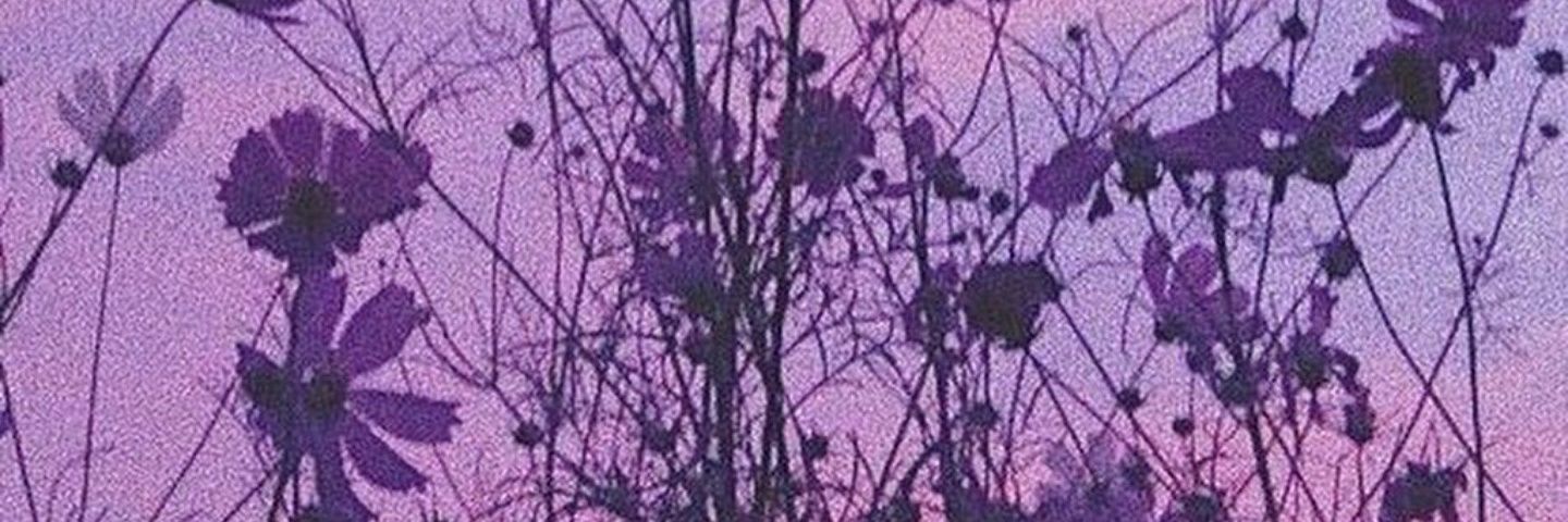 vanes002's profile banner image