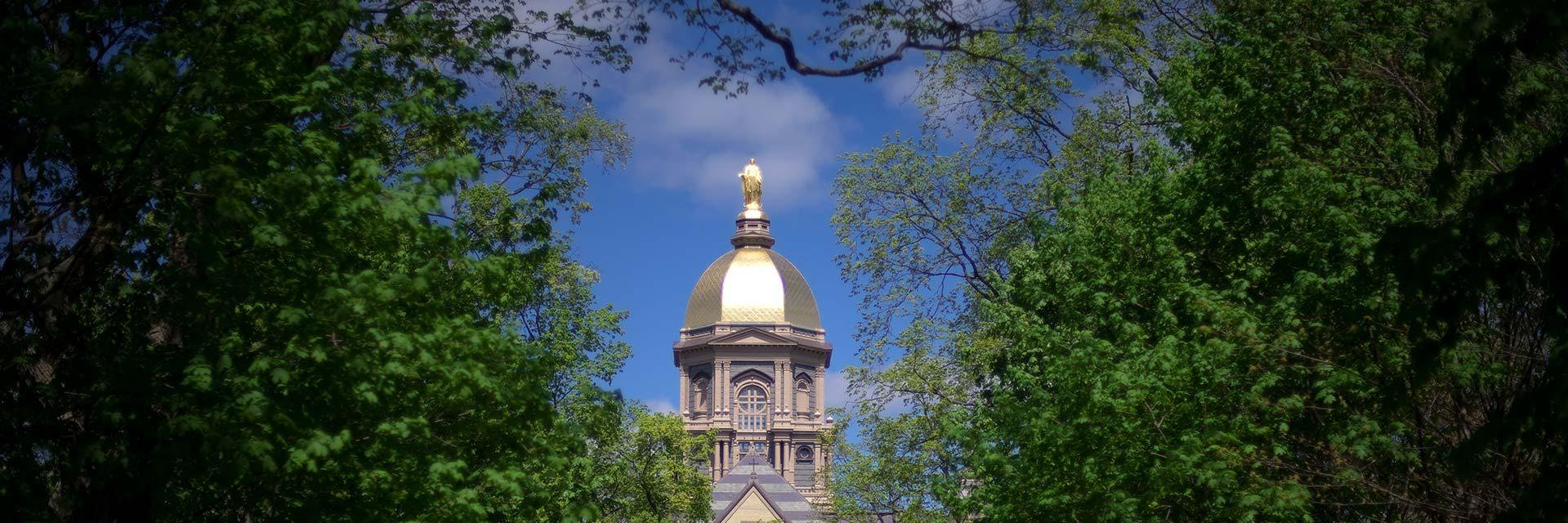 Tyler Hack ☘ banner