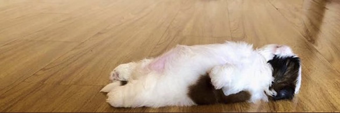 deniseedng's profile banner image