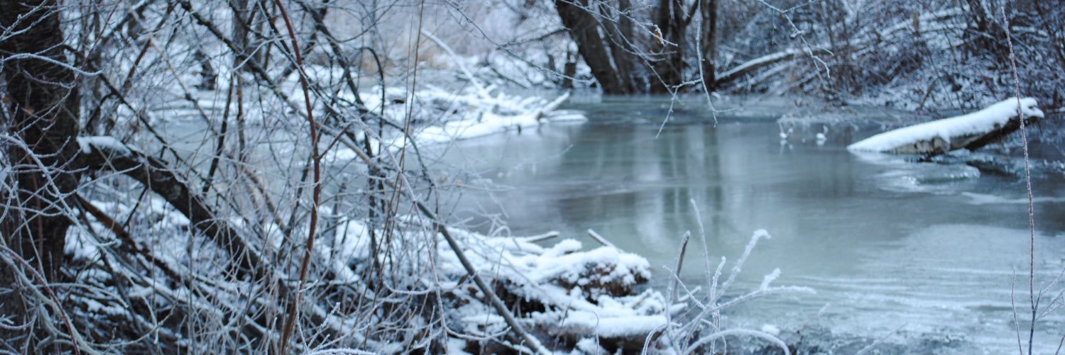 ClunkRecords's profile banner image