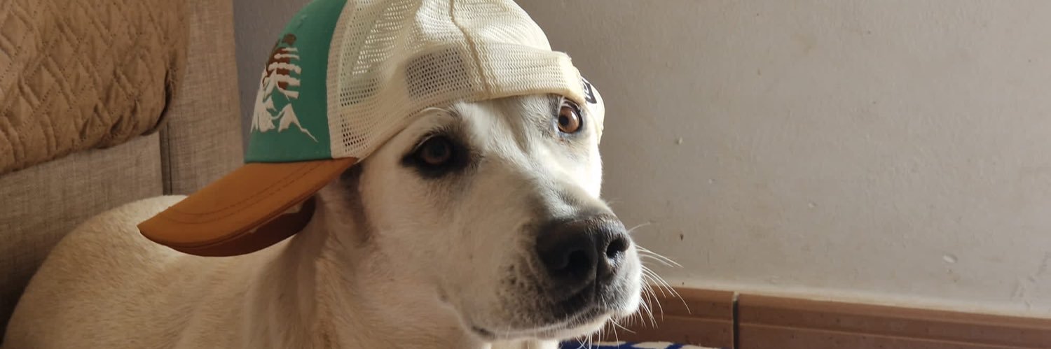 rulilg's profile banner image