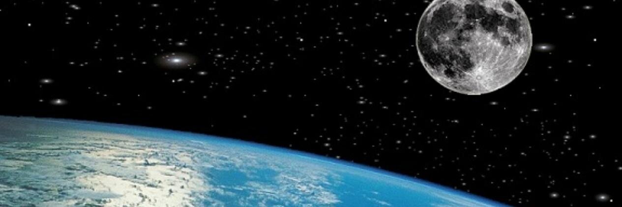 theflutedog's profile banner image