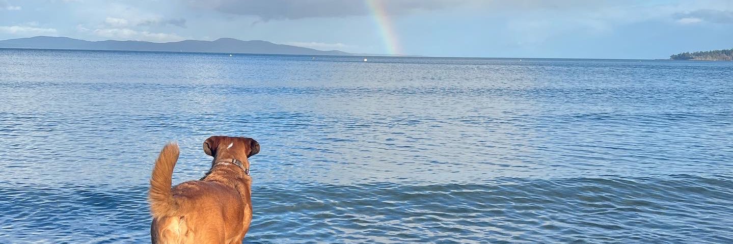 sydsmilowski's profile banner image