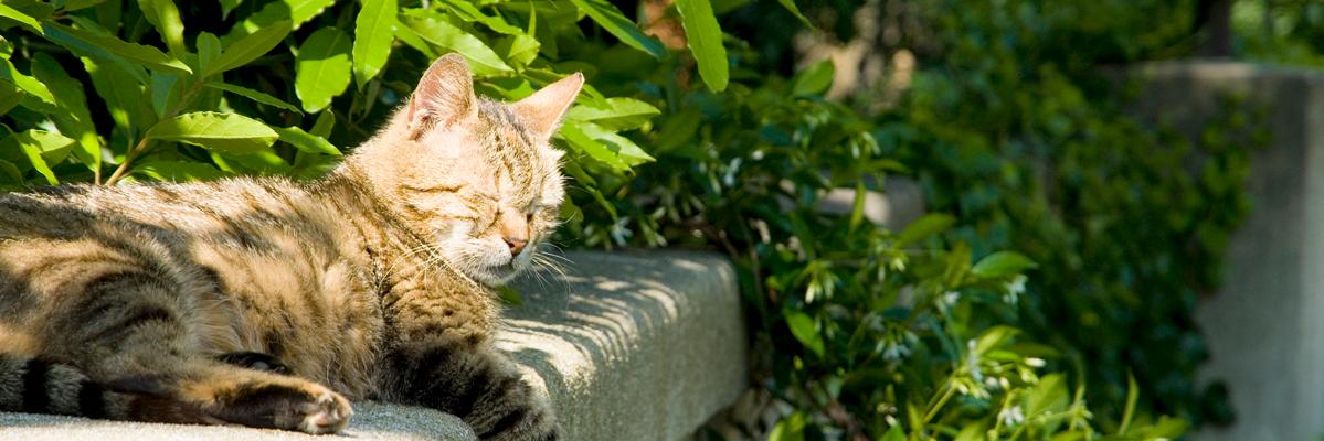 sweenessc's profile banner image